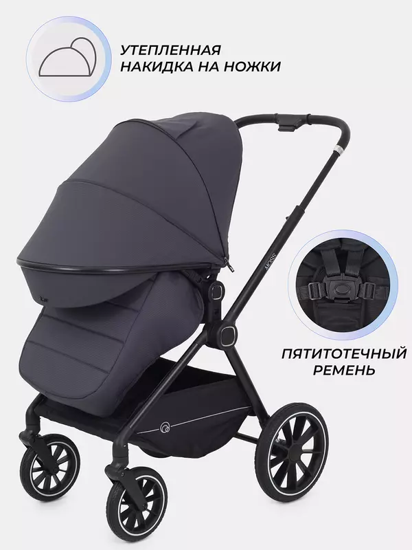 Коляска 2 в 1 Rant Moss 2025 Graphite